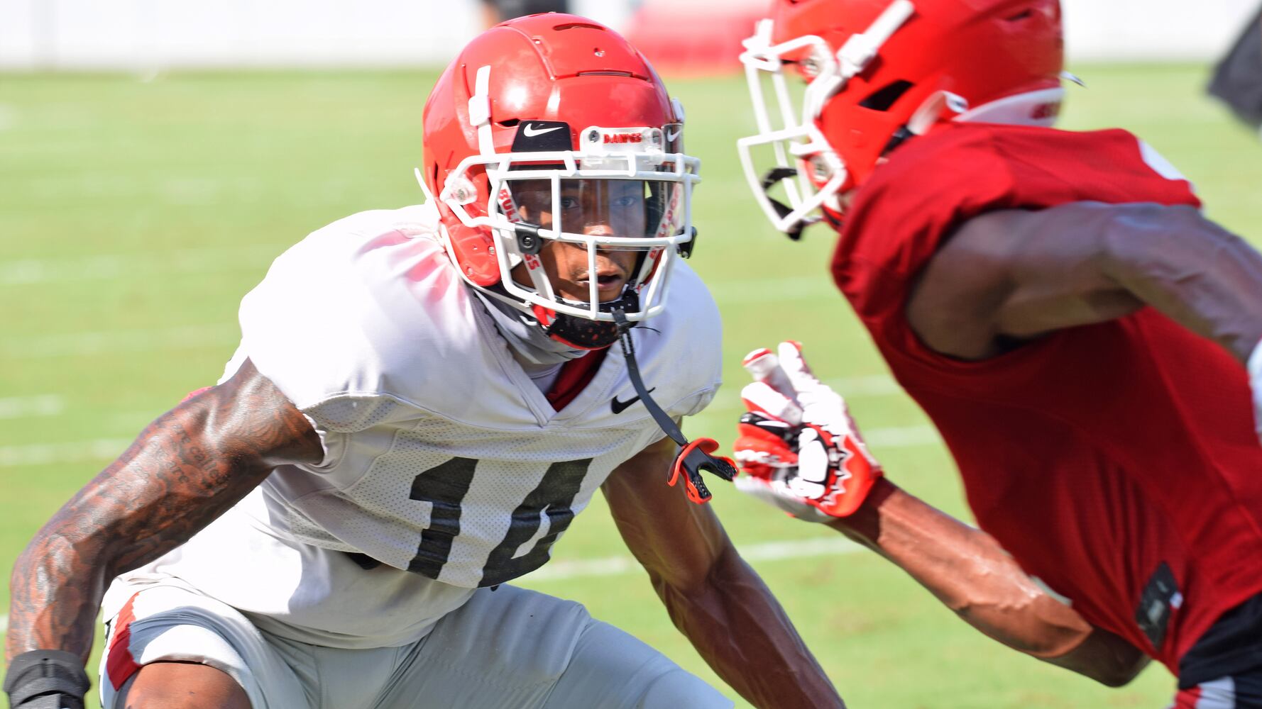 Georgia Bulldogs