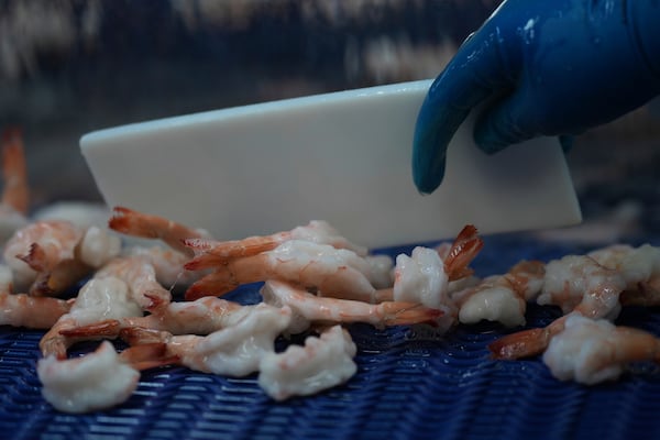 Shrimp are prepared for shipping at the Bowers Shrimp Processing plant, Wednesday, April 9, 2025, in Palacios, Texas. (AP Photo/Eric Gay)