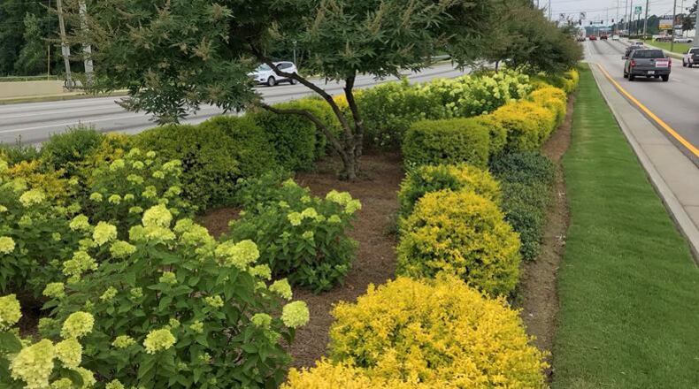 Gateway85 Gwinnett CID recently completed new landscaping along Jimmy Carter Boulevard. (Courtesy Gateway85)