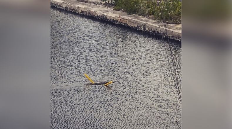 (Victor F. Perez @vfpkeys)