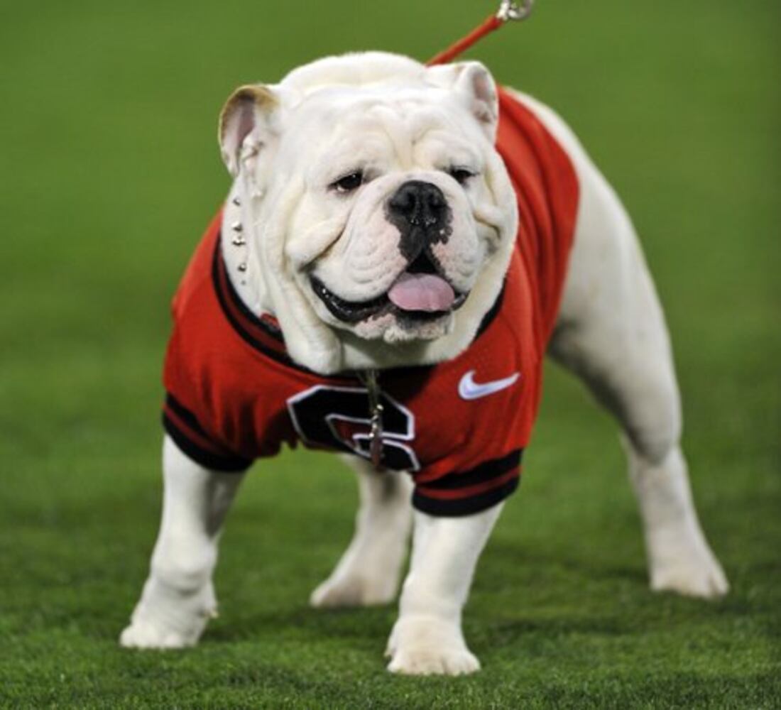 Georgia Tech vs. Georgia