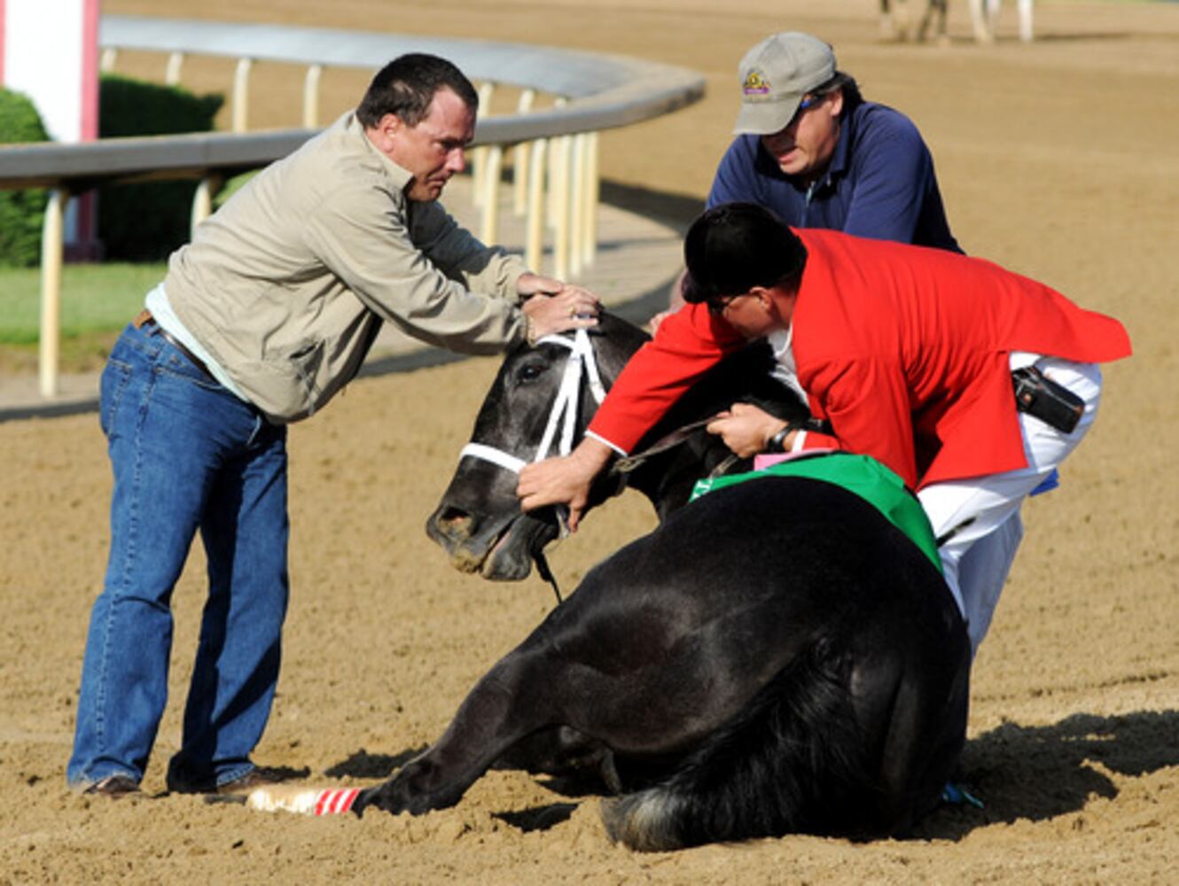Horse dies after Kentucky Derby