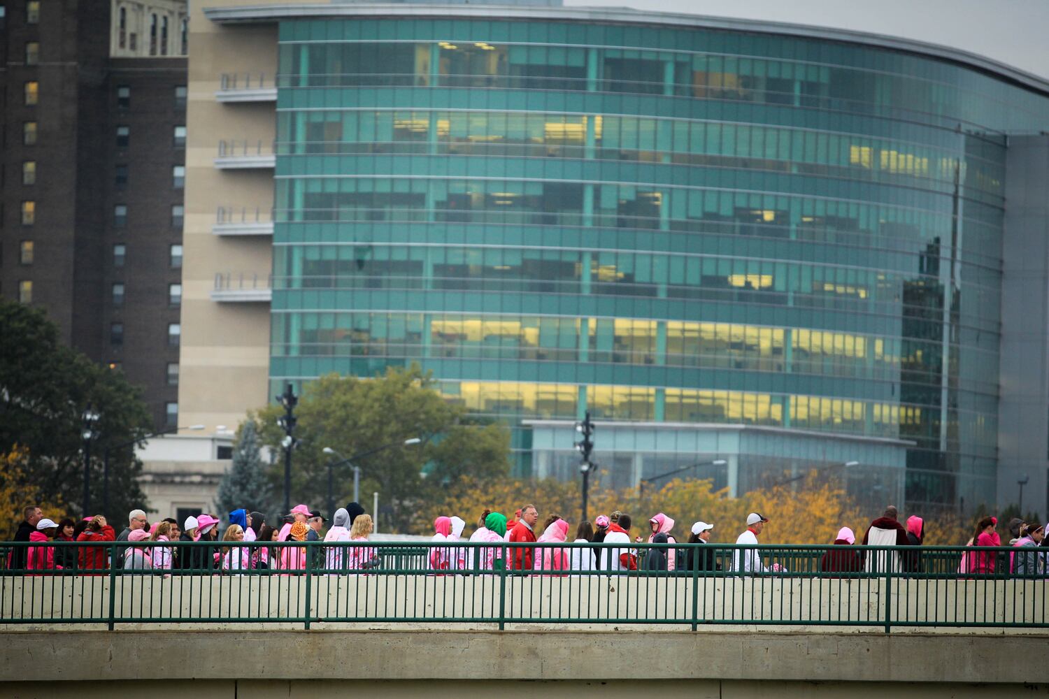 Making Strides Against Breast Cancer Walk