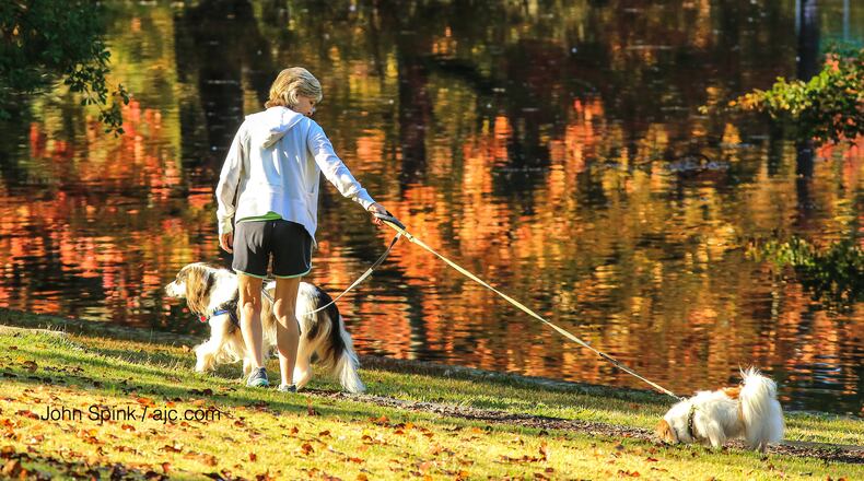 Against the reflection of fall foliage at The Duck Pond in Peachtree Heights in Buckhead, Medra Ashmore took Zoey (left) and Annie for their morning walk. The high tied a record of 78, according to Channel 2 Action News.