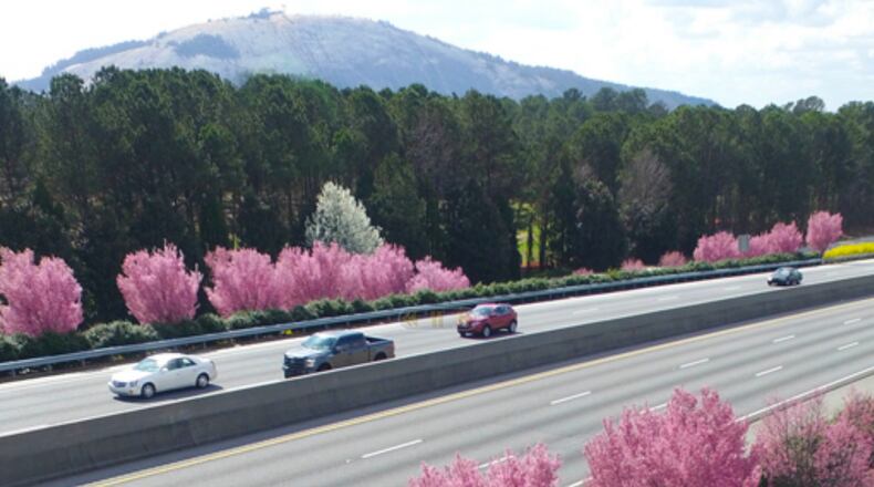 The Evermore CID is proposing a millage rate of 5 mills. (Courtesy Evermore CID)