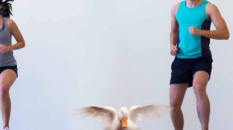 Aflac Insurance is more than a duck doing aerobics; it's a great company to work for.