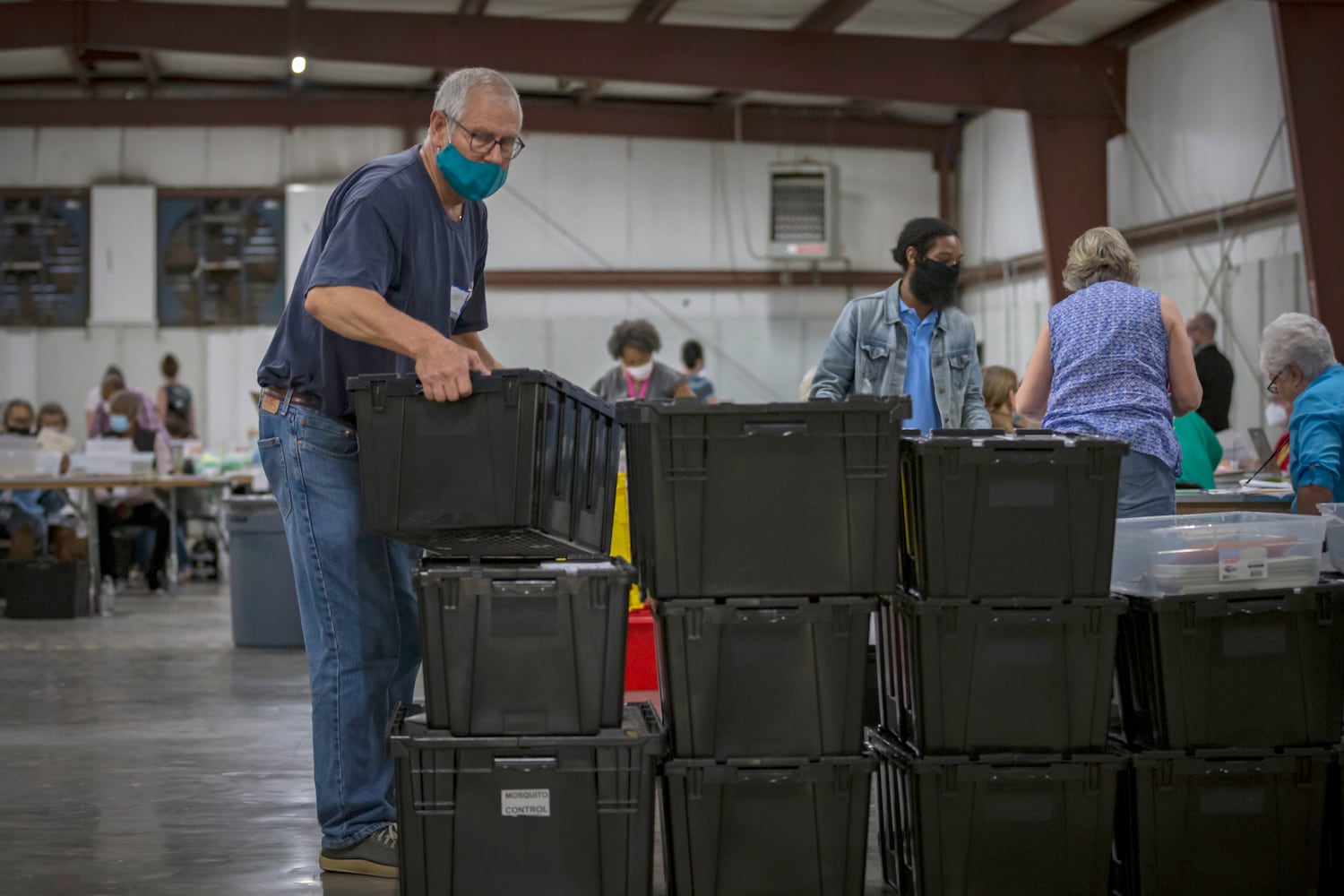 Savannah recount
