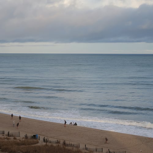 A metro Atlanta teacher is being hailed as a hero after he drowned Friday, Aug. 7, 2026, after jumping in the ocean to bring a young girl to safety in Myrtle Beach, S.C. (Travis Dove/The New York Times 2025)