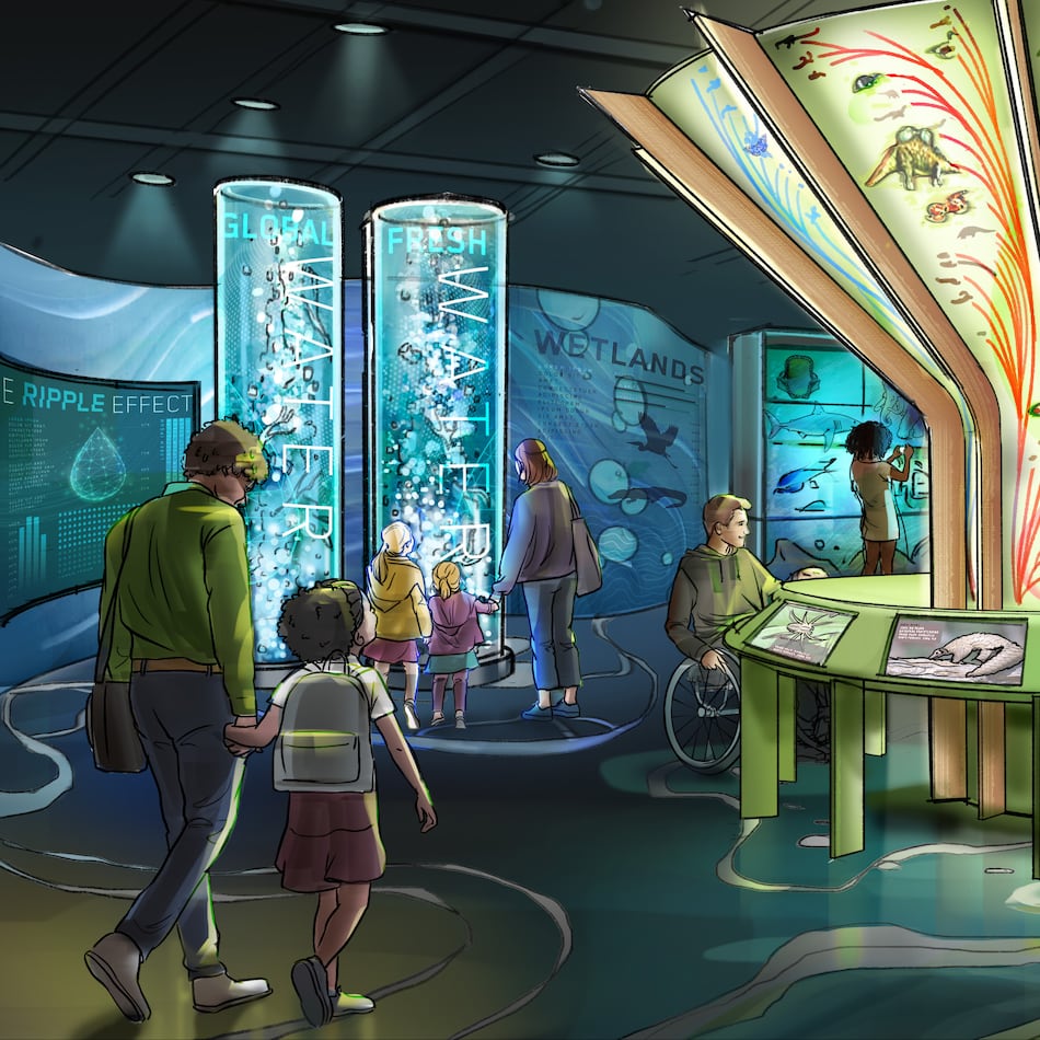 A conceptual rendering of a planned permanent exhibit space to be built on the second floor at Fernbank Musuem. The "Changing Earth" exhibit will be the largest of three renovations planned at Fernbank and will replace the "A Walk Through Time in Georgia" exhibit. (Courtesy of Fernbank Museum)