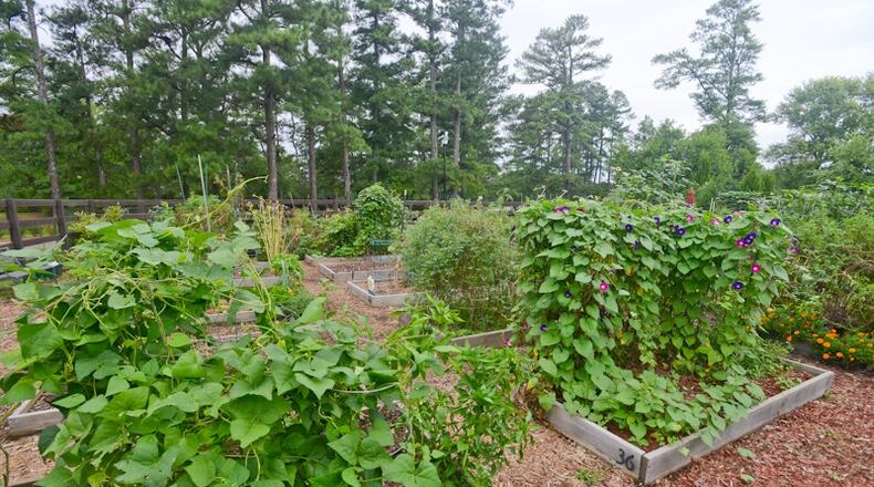 Johns Creek gardeners can begin reserving plots in the Community Garden at Newtown Park beginning Feb. 15. (Courtesy City of Johns Creek)