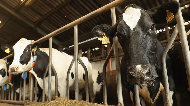 (Getty file photo by Sean Gallup/Getty Images)