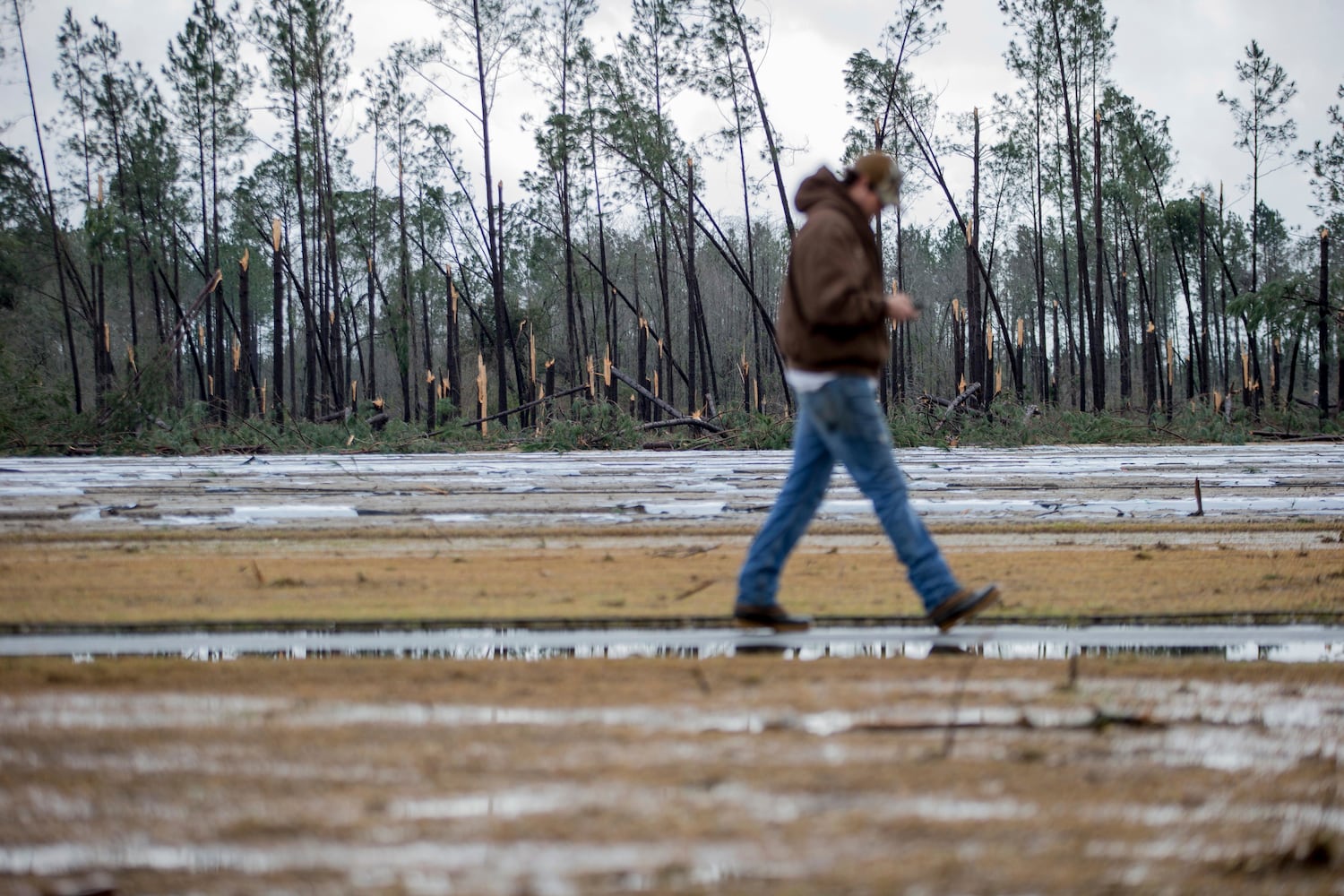 Strong storms in Georgia cause deaths, devastation