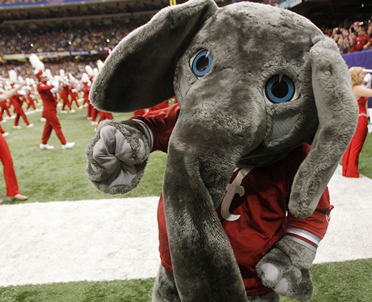 Big Al, Alabama