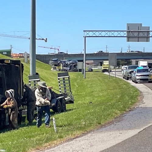 In this photo provided by the Tennessee Department of Transportation, beekeepers work to contain a swarm of bees that escaped from a crashed truck on Interstate 40 in Knoxville, Tenn., on Friday, April 17, 2026. (TDOT via AP)
