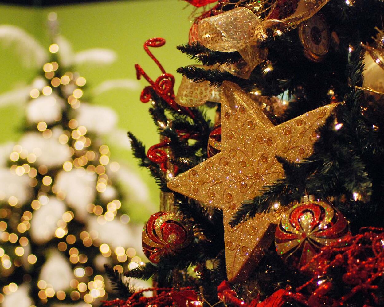 26th Annual Festival of Trees at OMA