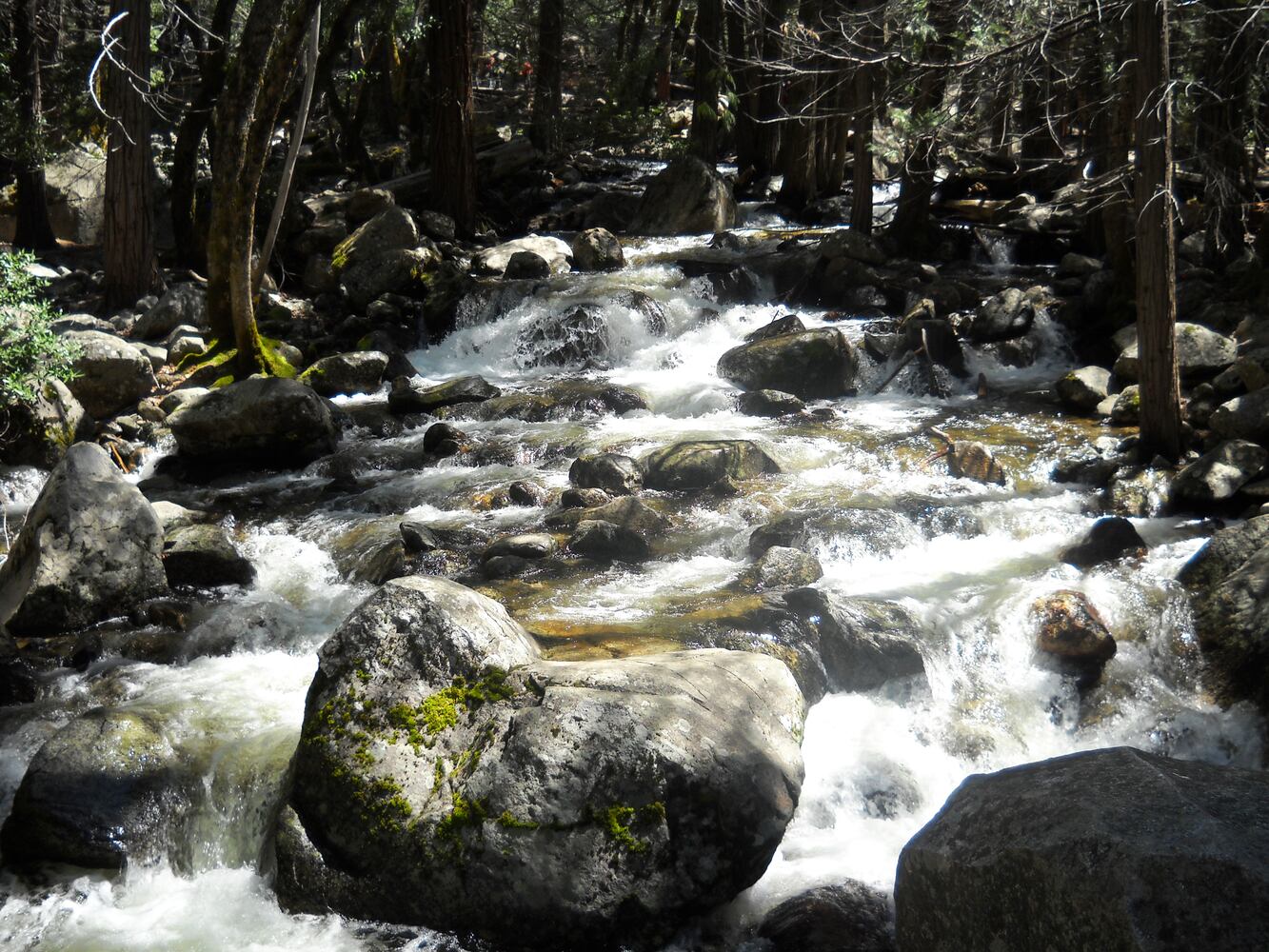 Yosemite National Park
