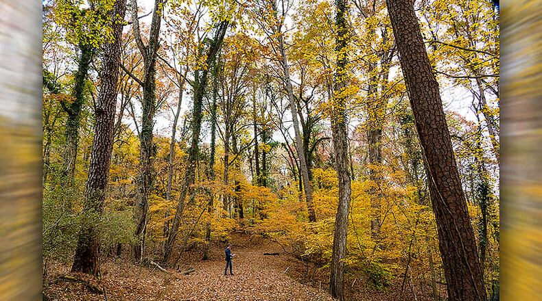 The city of Atlanta has approved the purchase of Lake Charlotte Nature Preserve, a 216-acre property in southeast Atlanta. CONTRIBUTED BY THE CONSERVATION FUND