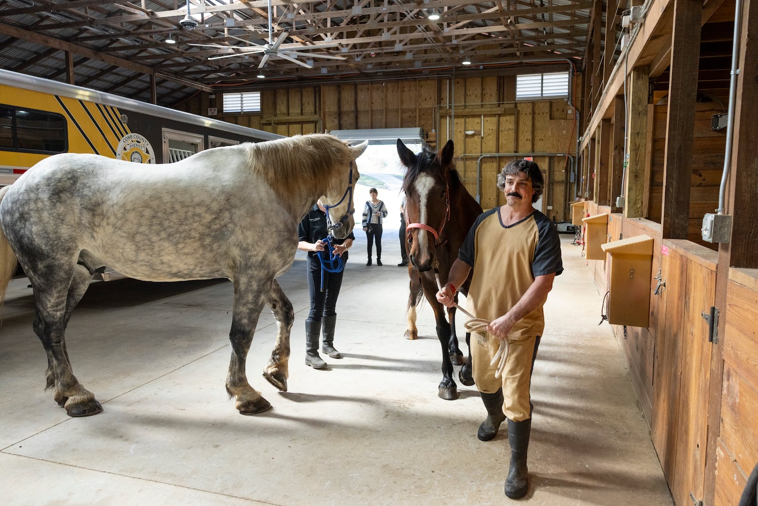 aajc 110625 anx cobb so equine