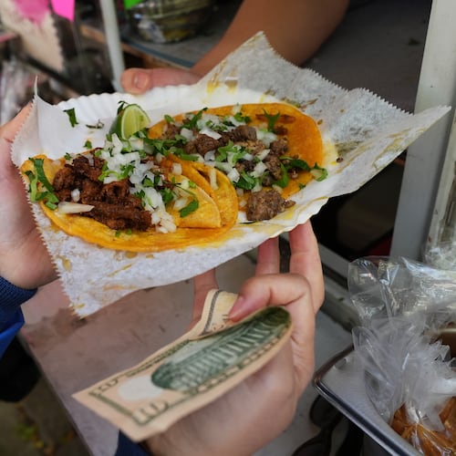 A bicyclist receives food from a street vendor Yulisa Robles, right, at Gage Park during Street Vendor Bike Tour Series, in Chicago, Sunday, Nov. 2, 2025. (AP Photo/Nam Y. Huh)