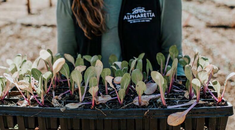 Alpharetta voted recently to officially adopt a City Agriculture Plan. COURTESY CITY OF ALPHARETTA