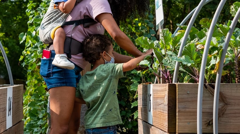 Trees Atlanta is a partner with the City of Atlanta at The Urban Food Forest at Browns Mill, where fruit trees create a perennial food source to complement the annual crops planted in the gardens. Neighbors are encouraged to volunteer and share in the harvest of food grown in the Food Forest.