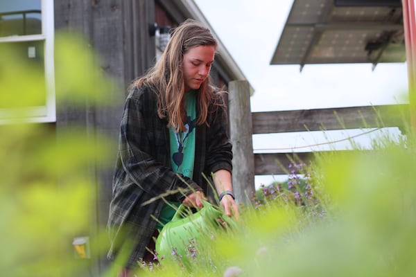 AmeriCorp VISTA worker Ellen Clegg waters a section of herbs at UGArden community farm. Miguel Martinez for the Atlanta Journal-Constitution