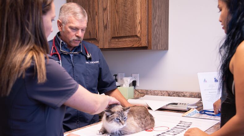 This photo provided by the Texas Veterinary Medical Association shows veterinarian Russell Ueckert treating a cat at his clinic in Abilene, Texas, in August 2019. (Abel Amendare/Texas Veterinary Medical Association via AP)
