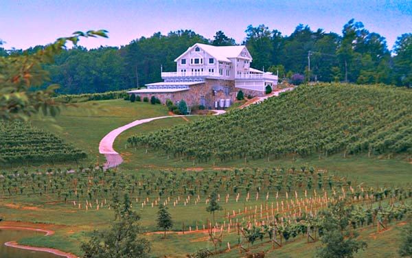Frogtown Cellars is part of the Dahlonega's wine trail.