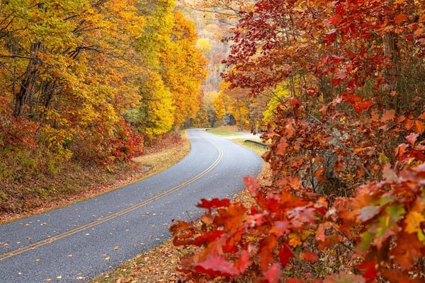 Fall foliage draws tourists from around the country. Explore the colors of Asheville on a scenic drive on the Blue Ridge Parkway. (Courtesy of Explore Asheville)