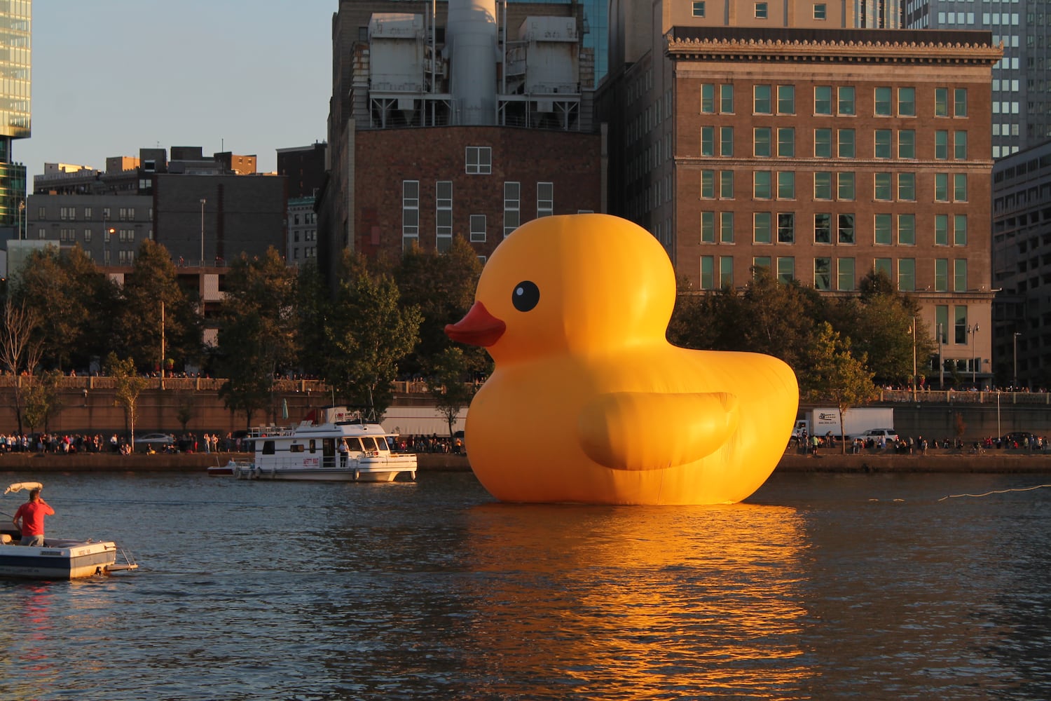 Rubber duck arrives in Pittsburgh