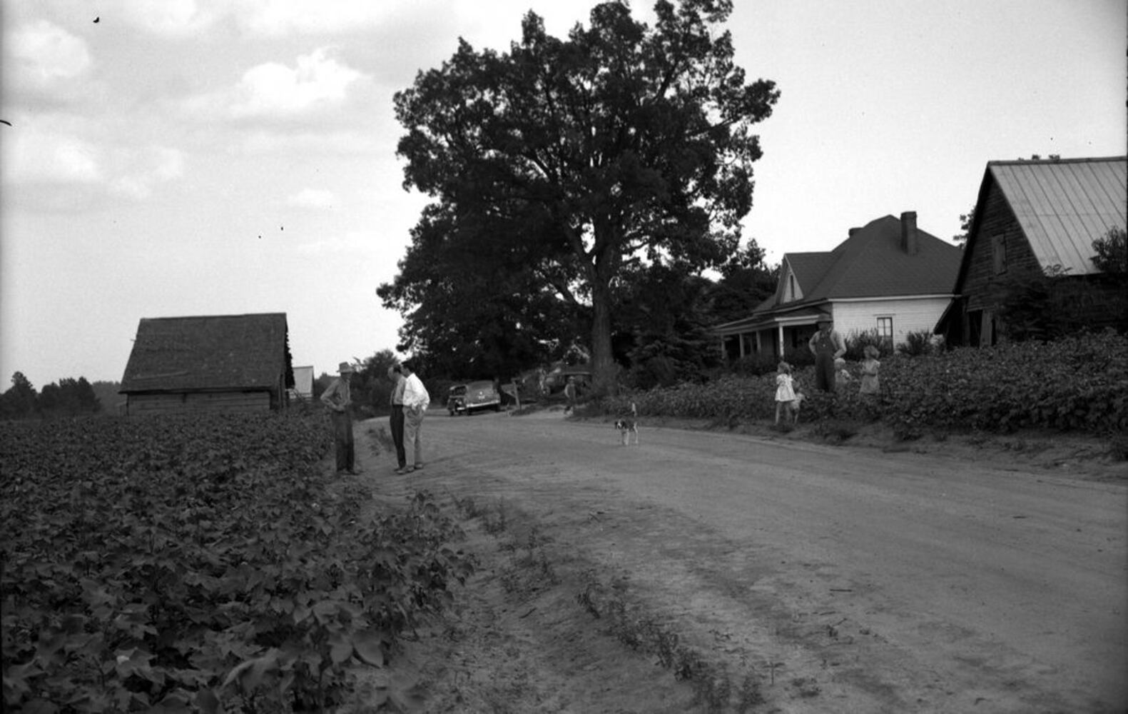 Walton farmer