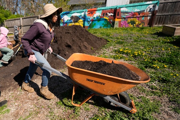 FILE - Rosei Warren hauls compost to a garden plot in preparation for planting vegetables at the Ivanhoe neighborhood community garden, April 9, 2025, in Kansas City, Mo. (AP Photo/Charlie Riedel, File)
