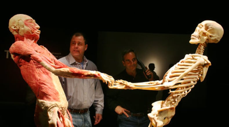 Bodies The Exhibition at Atlantic Station allows observers to access sights normally reserved only for medical professionals.
