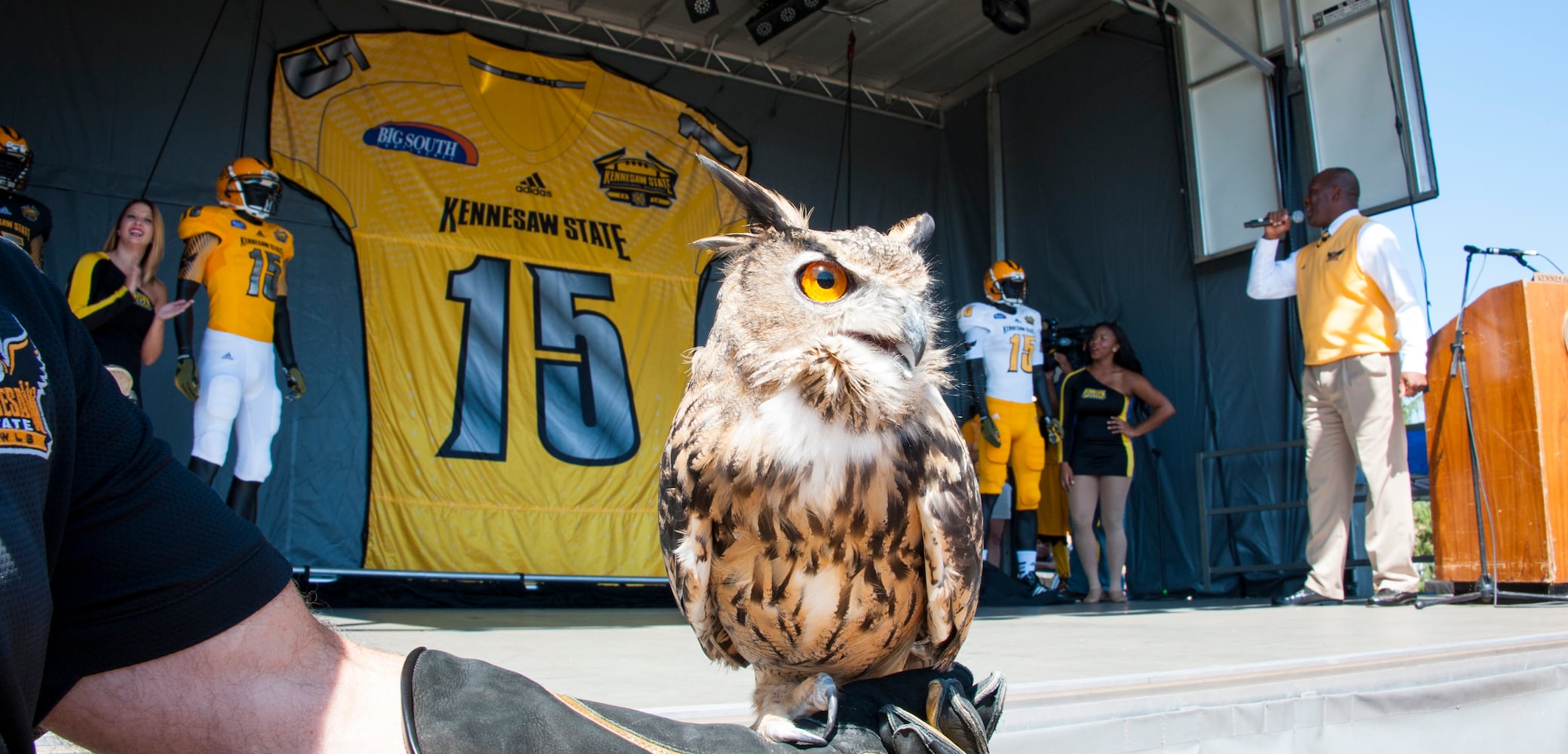 Owls kick off in 2015