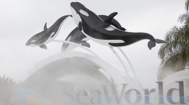 (Photo by Matt Stroshane/Getty Images)