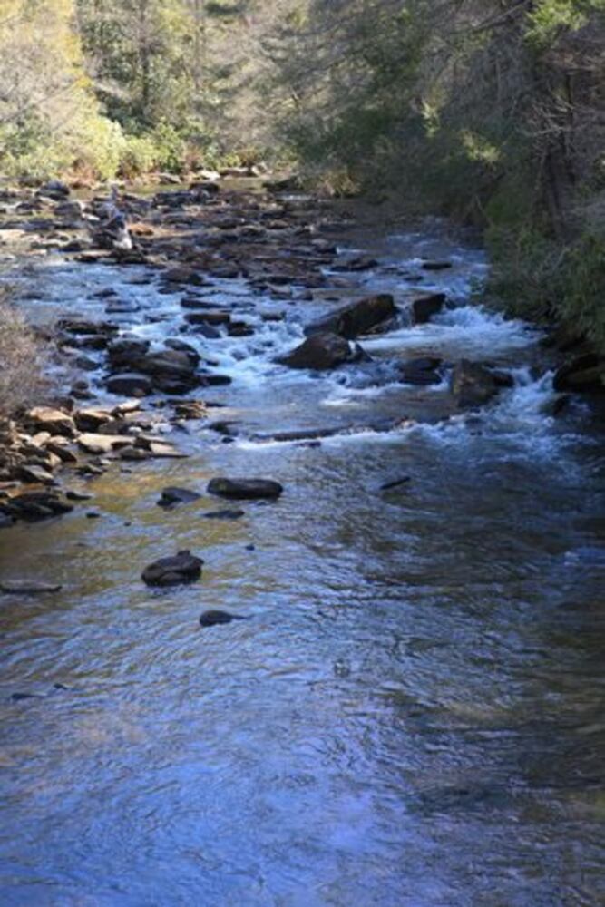 Fans drawn to where 'Hunger Games' was filmed