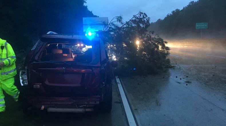 A tree fell on the hood of a Sandy Springs Police truck on Ga. 400 at Northridge Road about 7:40 a.m. Thursday while officers worked a vehicle accident. Courtesy city of Sandy Springs