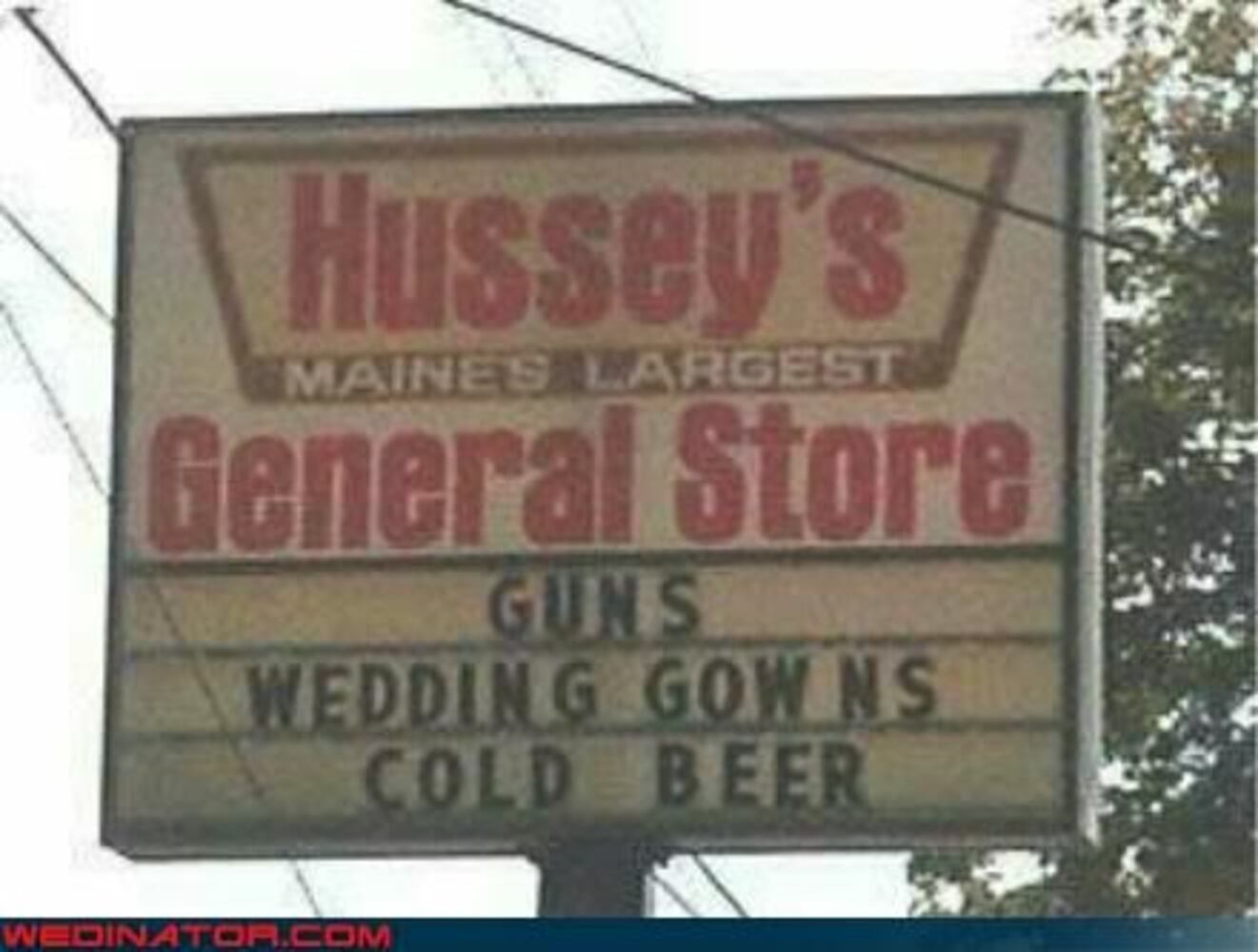 Funny wedding photos