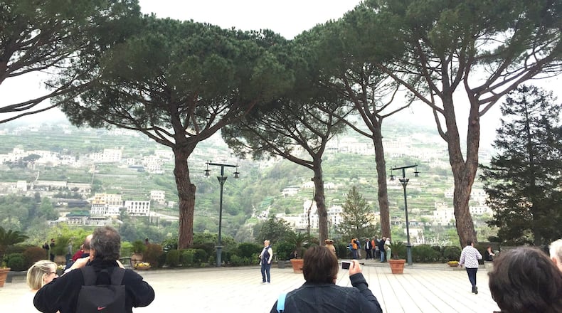 Statuesque umbrella pines are common in Italy. WALTER REEVES