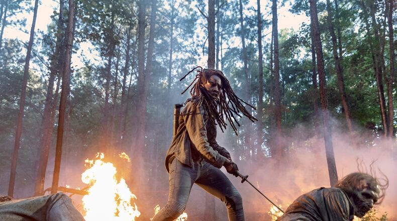 Danai Gurira as Michonne; group - The Walking Dead _ Season 10 - Photo Credit: Jackson Lee Davis/AMC