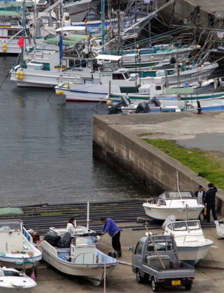 Japanese fishing village of Taiji thrust into spotlight