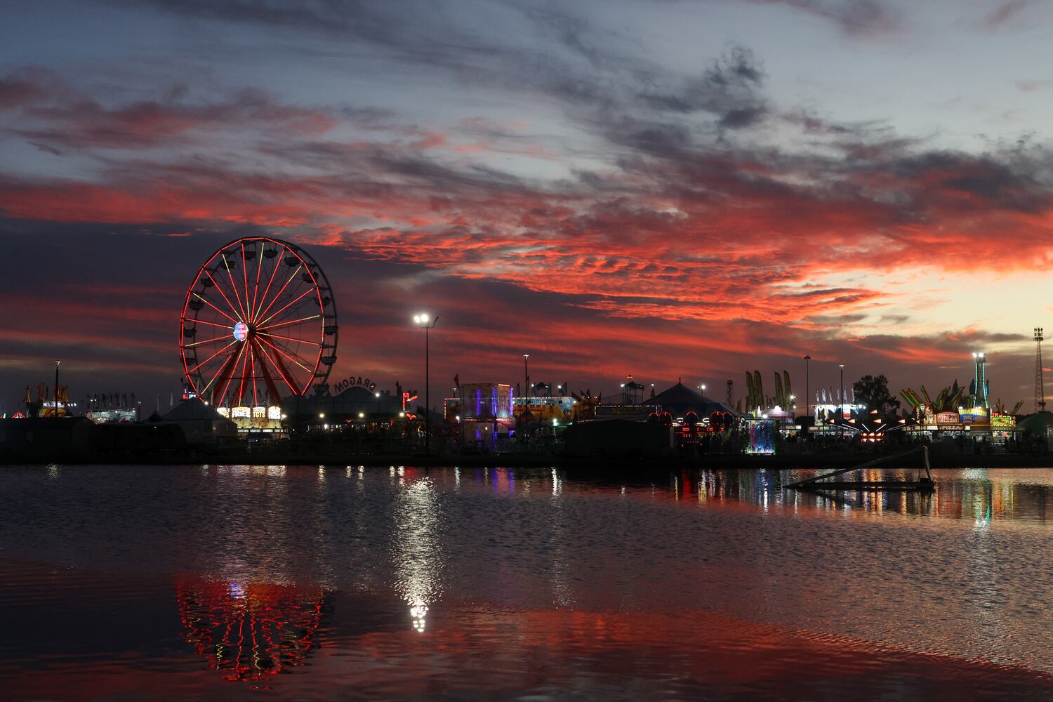 UGA National Fair