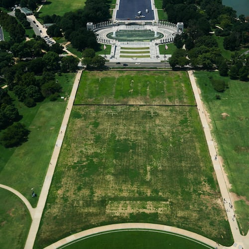 Damaged grass on the National Mall is seen from the Washington Monument, Monday, Aug. 17, 2026, in Washington, with the World War II Memorial in the background. (AP Photo/Julia Demaree Nikhinson)
