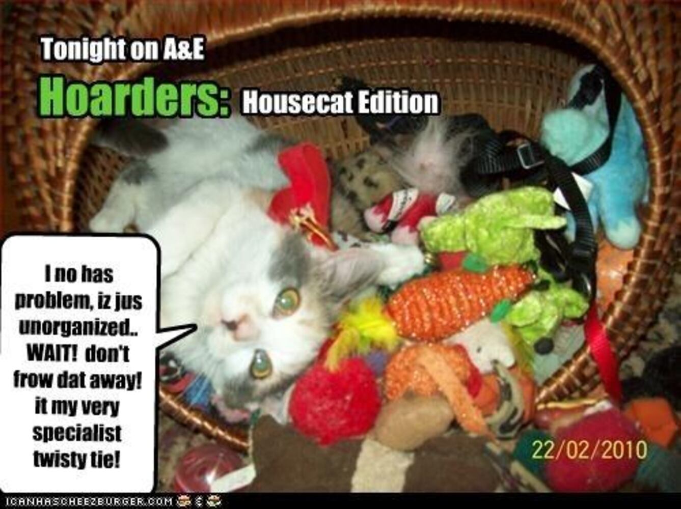 Here are some more photos from ICanHasCheezburger.com.