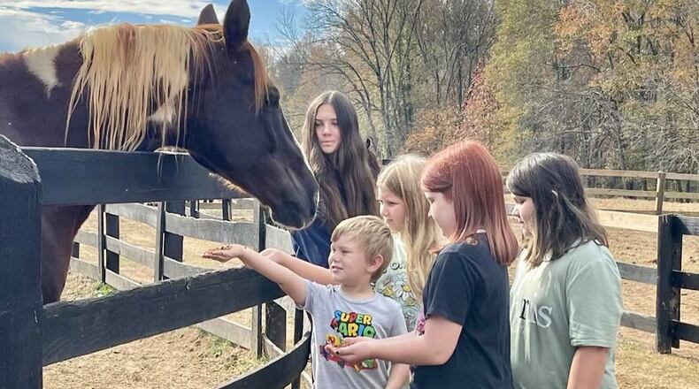 Students from a school group take a visit to Zorro's Crossing Horse Sanctuary. Zorro's Crossing, a place for discarded racing horses to find a forever home and healing. Photo contributed by Zorro's Crossing.