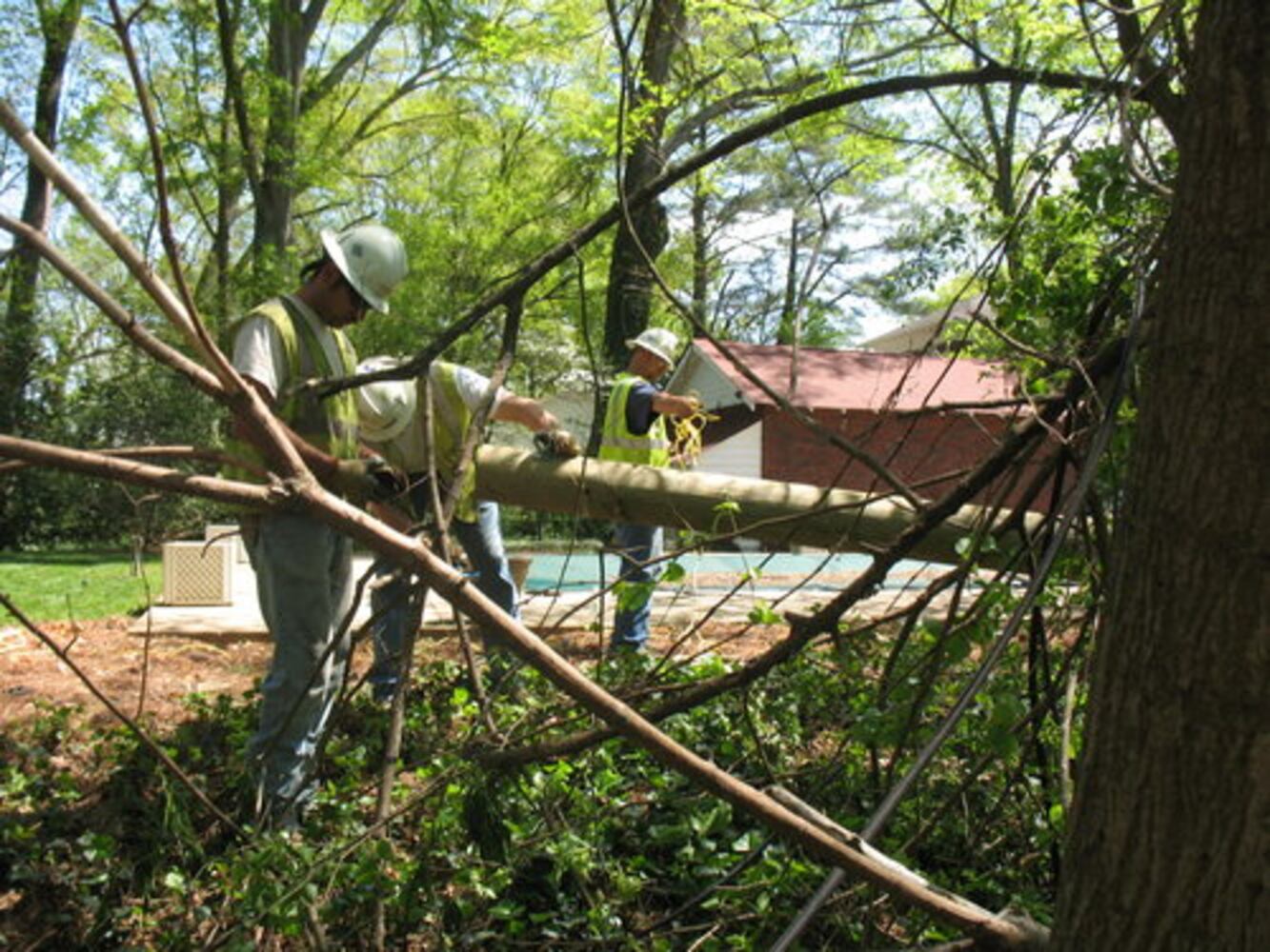 Cleaning up after the storm