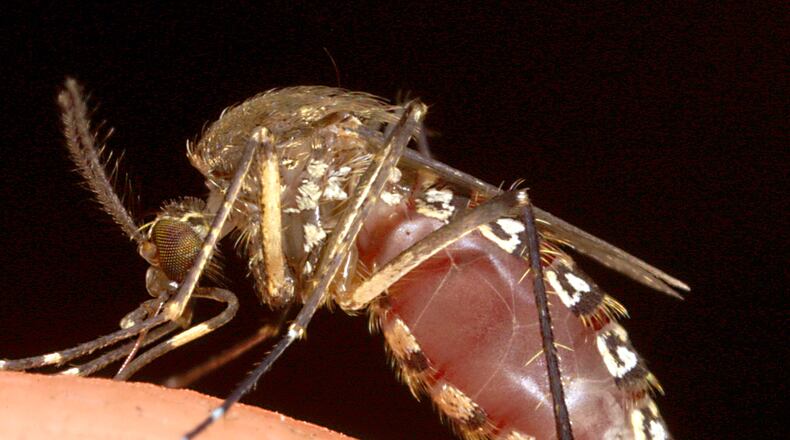 (Photo by Tom Ervin/Getty Images)