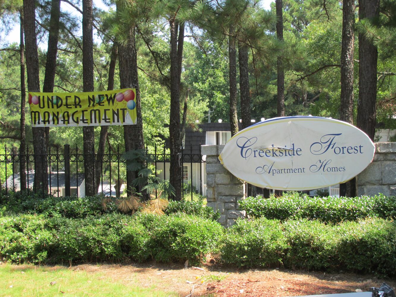 Creekside Forest