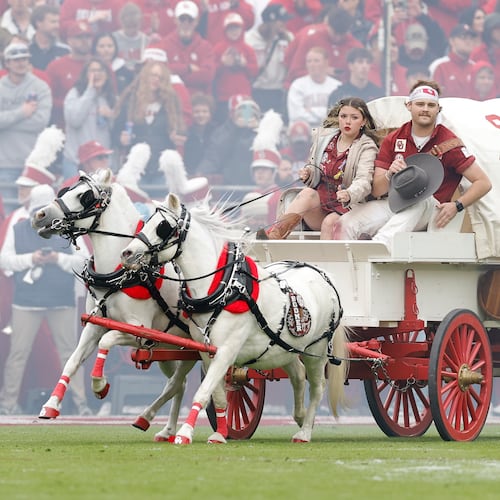 Members of the Oklahoma spirit groups drive the Sooner Schooner after a touchdown against Missouri during the first half of an NCAA college football game Saturday, Nov. 22, 2025, in Norman, Okla. (AP Photo/Alonzo Adams)