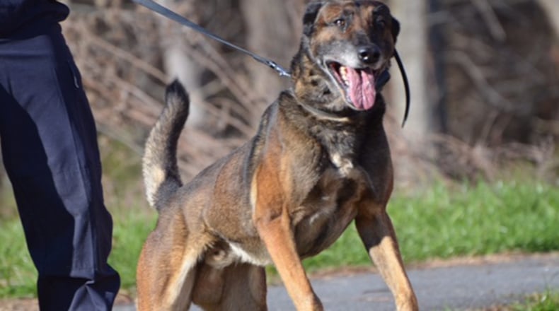 Draco, a now retired member of the Gwinnett County Police Department in Gwinnett County, Georgia has won a legal battle after a judge ruled against a burglary suspect, who was suing the K-9 officer after  the suspect was bitten.